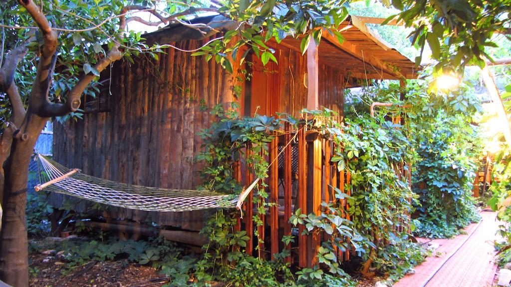 Olympos Natural Pansiyon Zimmer foto